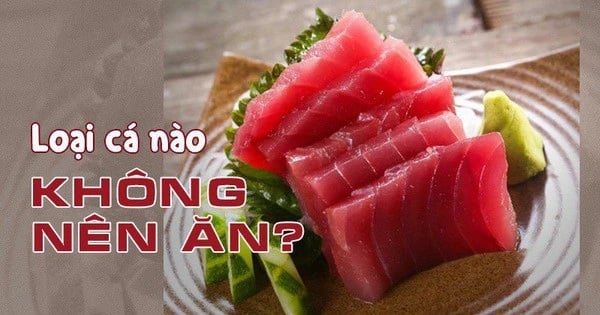 Loại cá này ngậm nhiều thủy ngân gây hại cơ thể