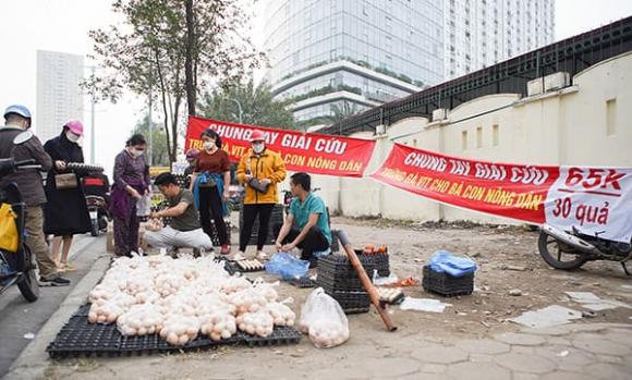 trứng bán vỉa hè, giá trứng bán vỉa hè, trứng giá rẻ, ⱪiḗn thức 