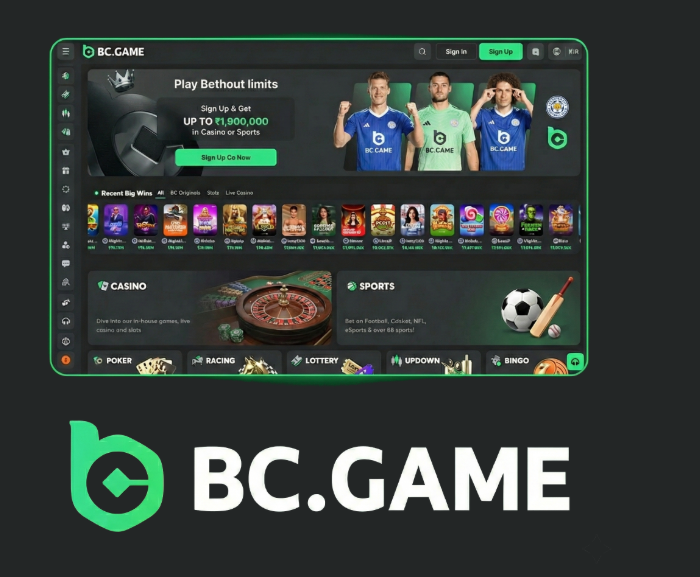 BC.Game App Download and Installation Guide -387456447